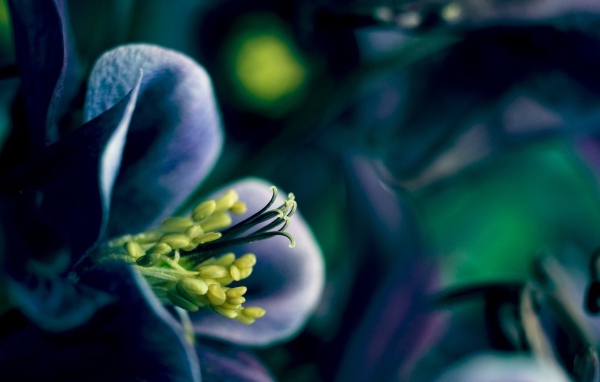 Время весны