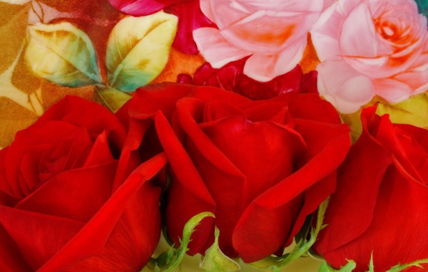 Три красных розы