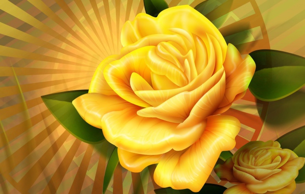 Желтые розы