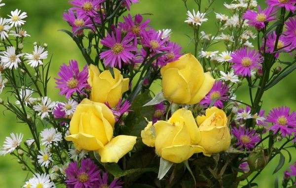 Жёлтые розы и другие цветы в букете