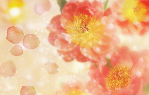 Летящие лепестки