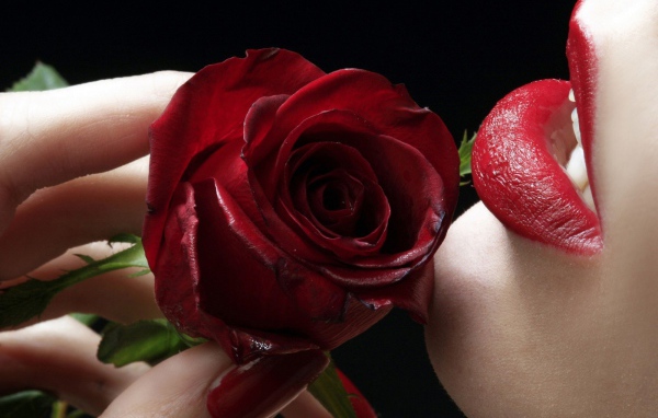 Губы и красные лепестки розы