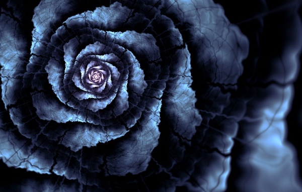 Абстрактный цветок роза