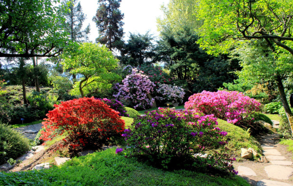 Аллея в парке