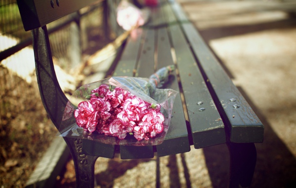 Букет гвоздик на скамейке