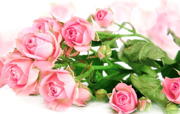 Букет роз с каплями воды