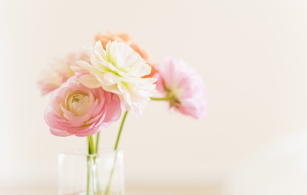 Цветы в стеклянном кувшине