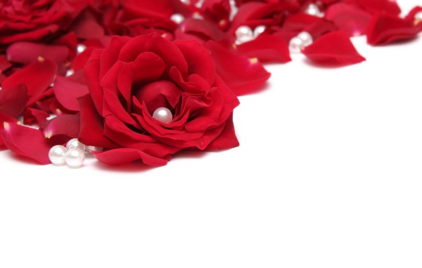 Розы и жемчуг