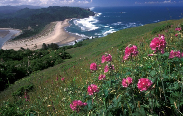 Вид на море с горы