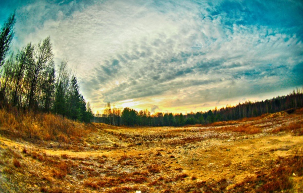 Просека в лесу