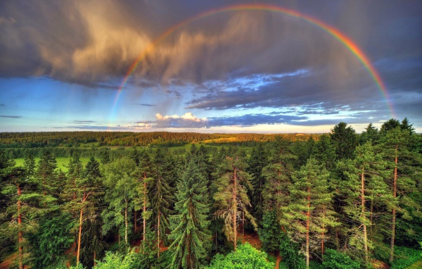 Радуга над лесом