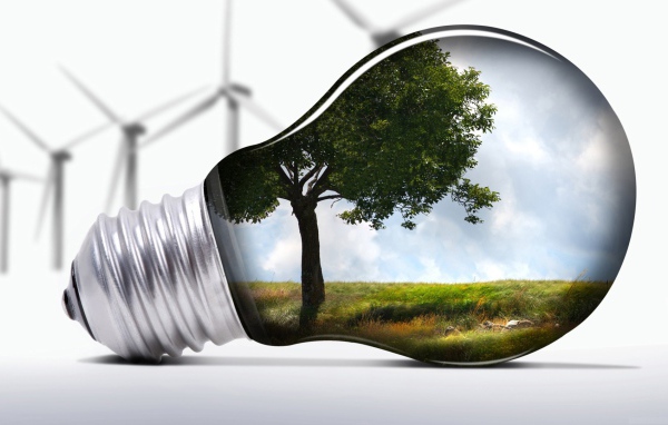 Природа в лампочке