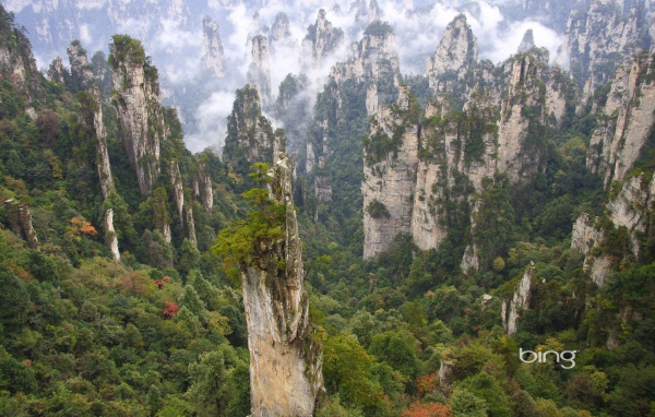 Лес на каменных столбах