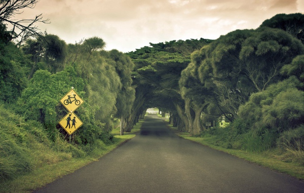 Пешеходная дорога