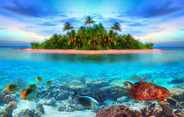 Остров в тропиках