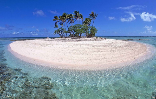 Маленький остров с деревьями