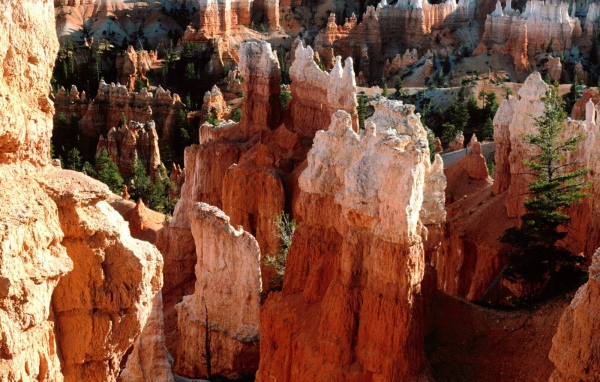 Каньон Брюс