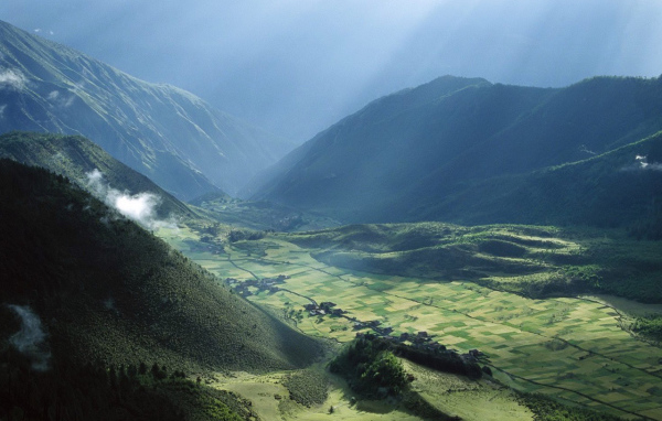 Поле в долине