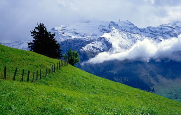 Зеленый луг и снежные горы