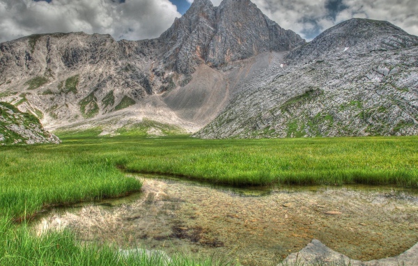 Заросшее травой озеро
