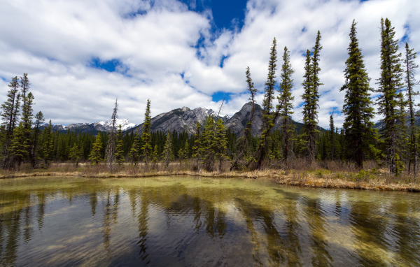 Маленькое озеро и красивые горы