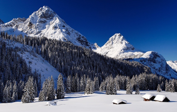 Снежные горы и лес в снегу