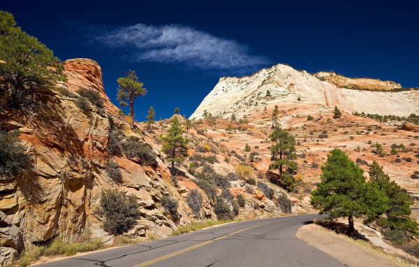 Дорога в желтых горах