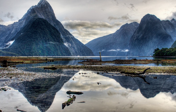 Дикая природа гор