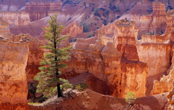 Каньон утах в америке