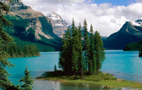 Остров с деревьями на озере