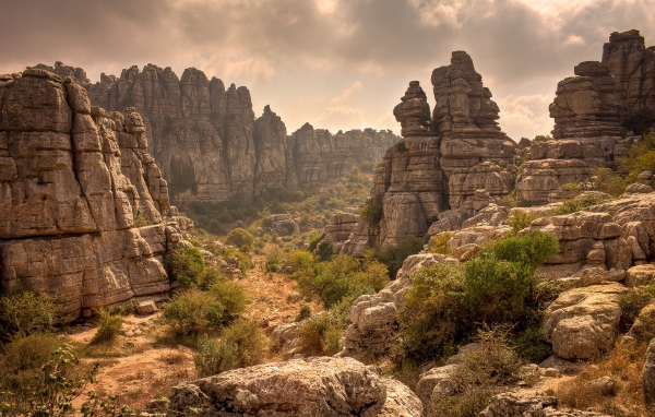 Скудная растительность в скалах