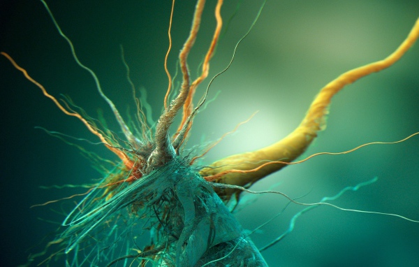 Бактерия под микроскопом