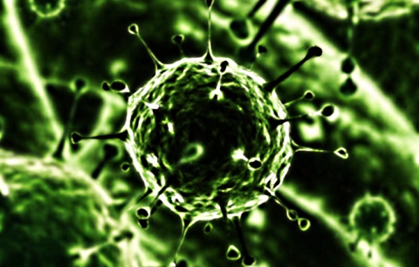 Вирус под микроскопом