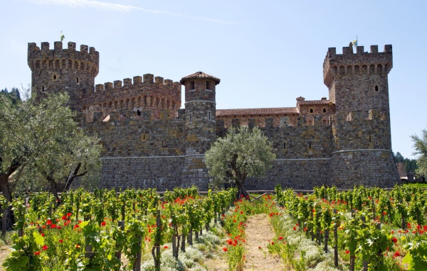 Vineyard in the fortress