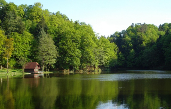 Лесной домик на берегу озера