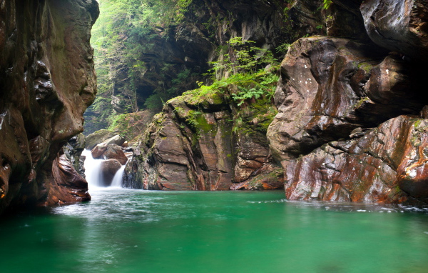 Зеленая вода в реке