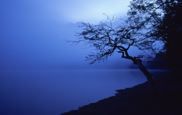 Озеро в синем тумане