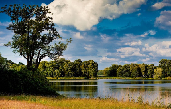 Озеро среди лугов