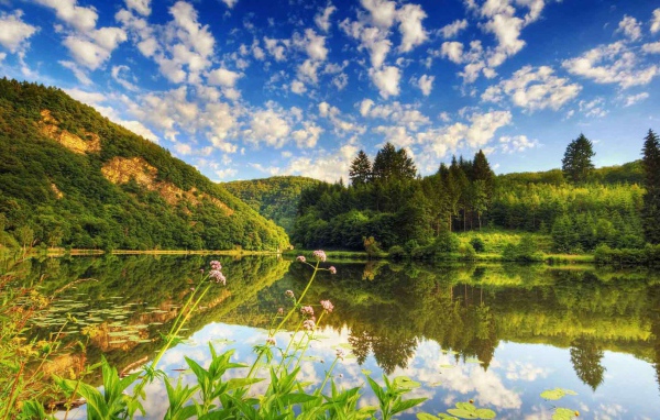 Озеро среди лесистых холмов