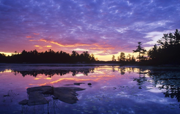 Заросшее озеро на закате
