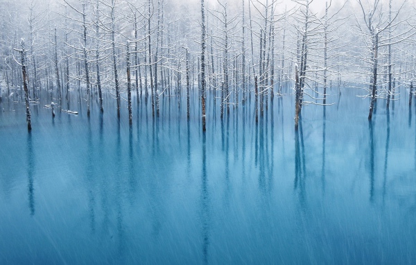 Пруд в снегу