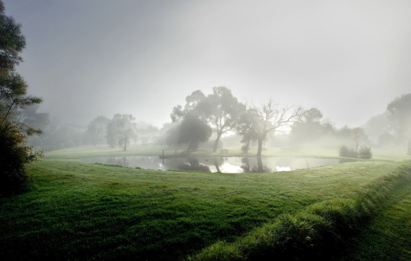 Озеро в тумане