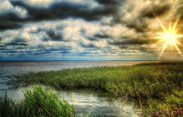 Заросший берег озера