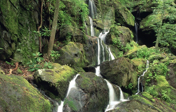 Вода течет по камням