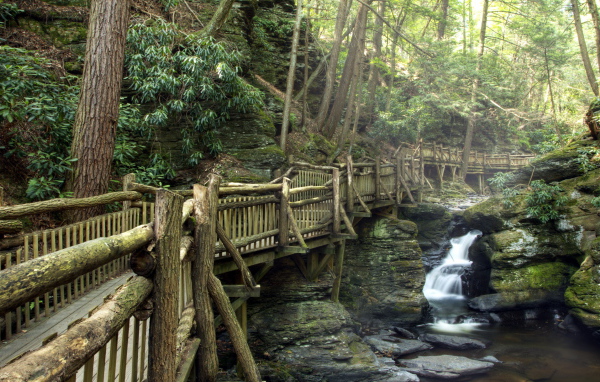 Деревянный мост