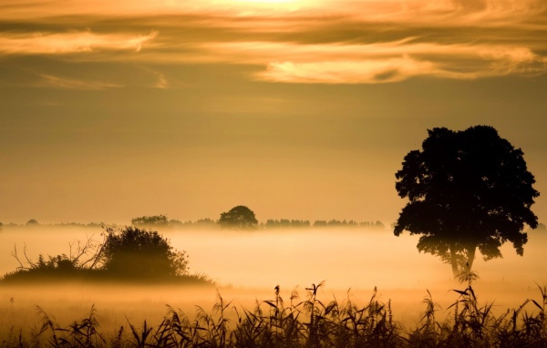 Туманное утро у озера