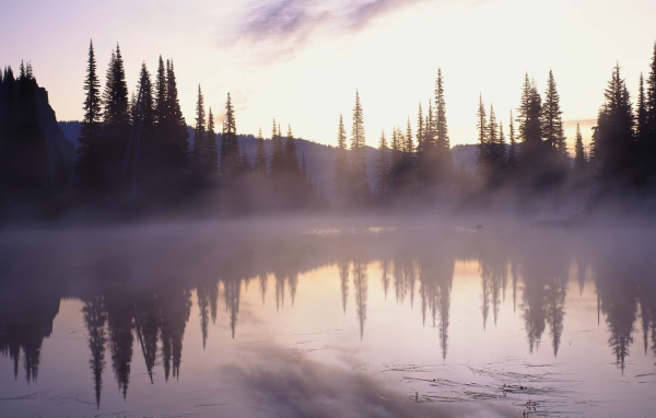 Туман над озером