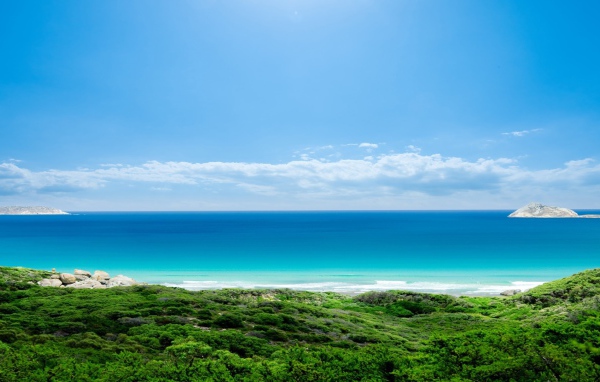 Зеленый берег и голубое море