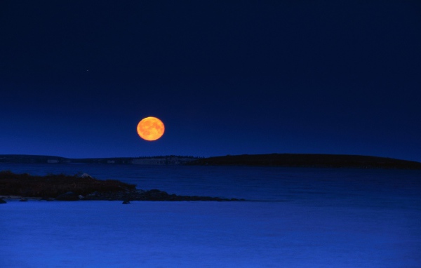 Луна на вечернем небе