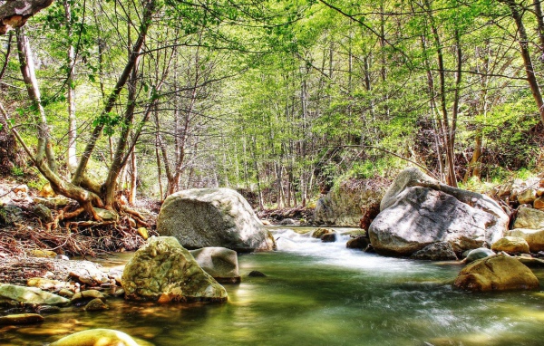 Река в осеннем лесу с камнями